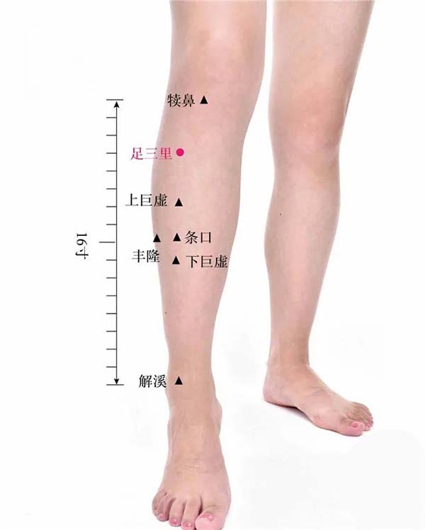 圖片23.jpg