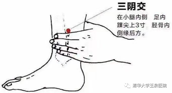 圖片 8.jpg