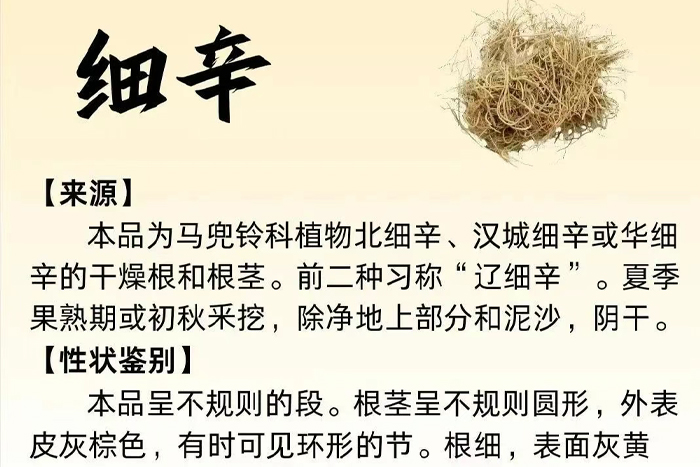每周一藥 | 解表藥 | 細(xì)辛