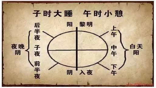 子午覺